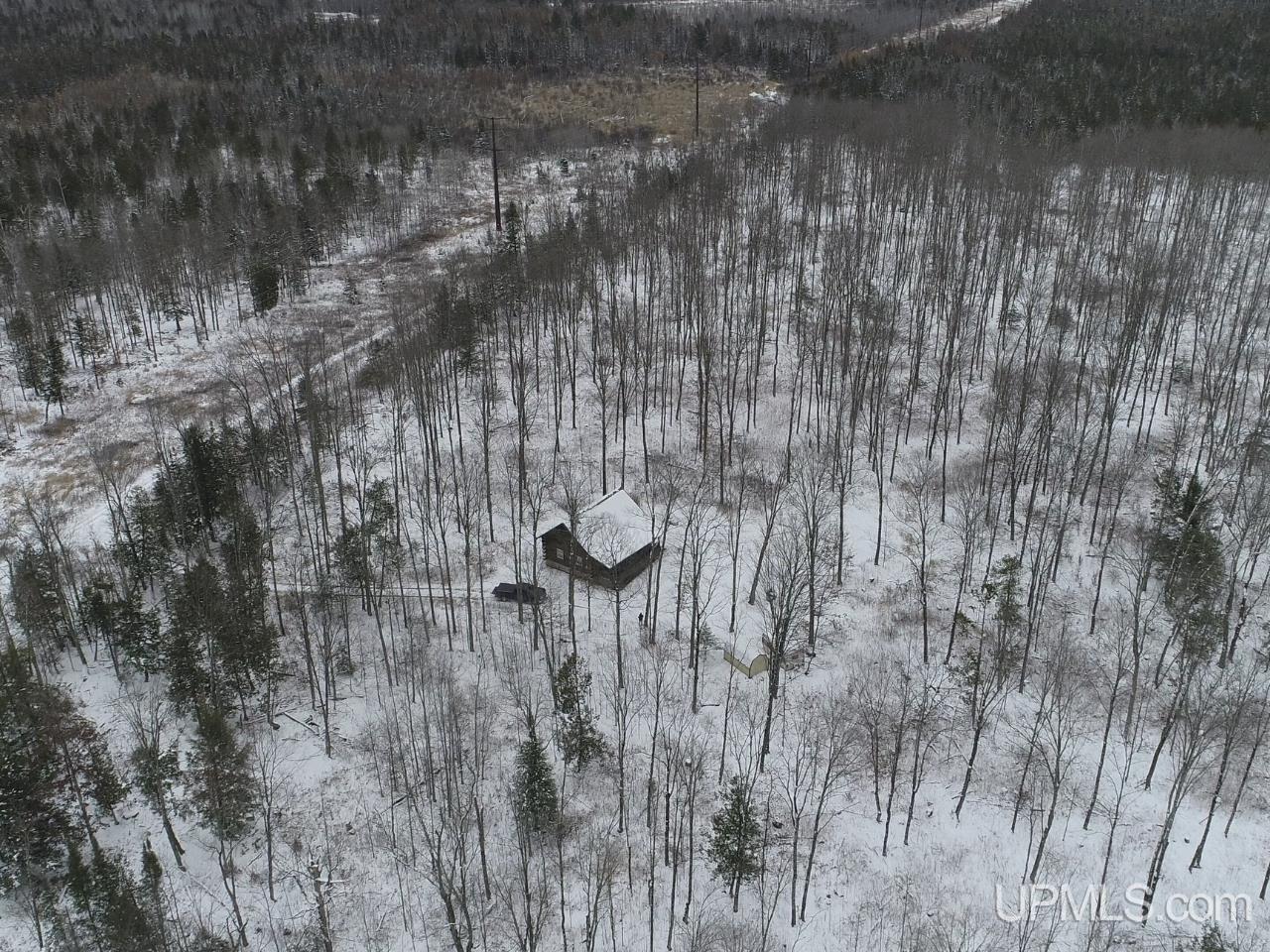 120-acres Off County Sk Road Cornell, MI 49818 - Photo 8 of 40