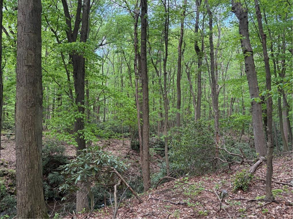 Lot 1 Cottonwood Road Acme, PA 15610 - Photo 23 of 25