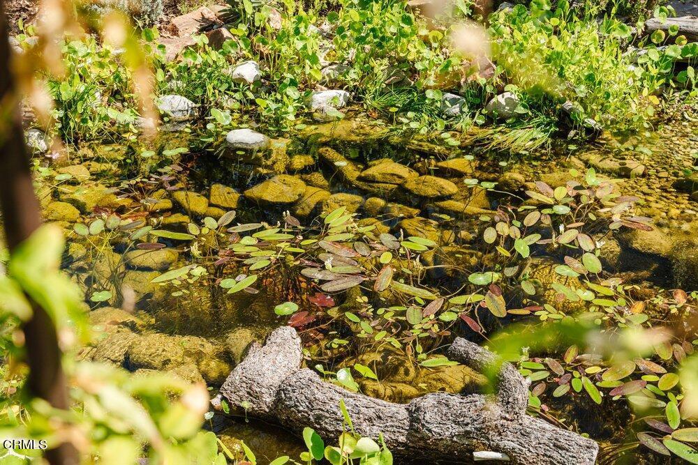 1300 Meadowbrook Road Altadena, CA 91001 - Photo 39 of 45 039_1300_meadow_brook-134_939