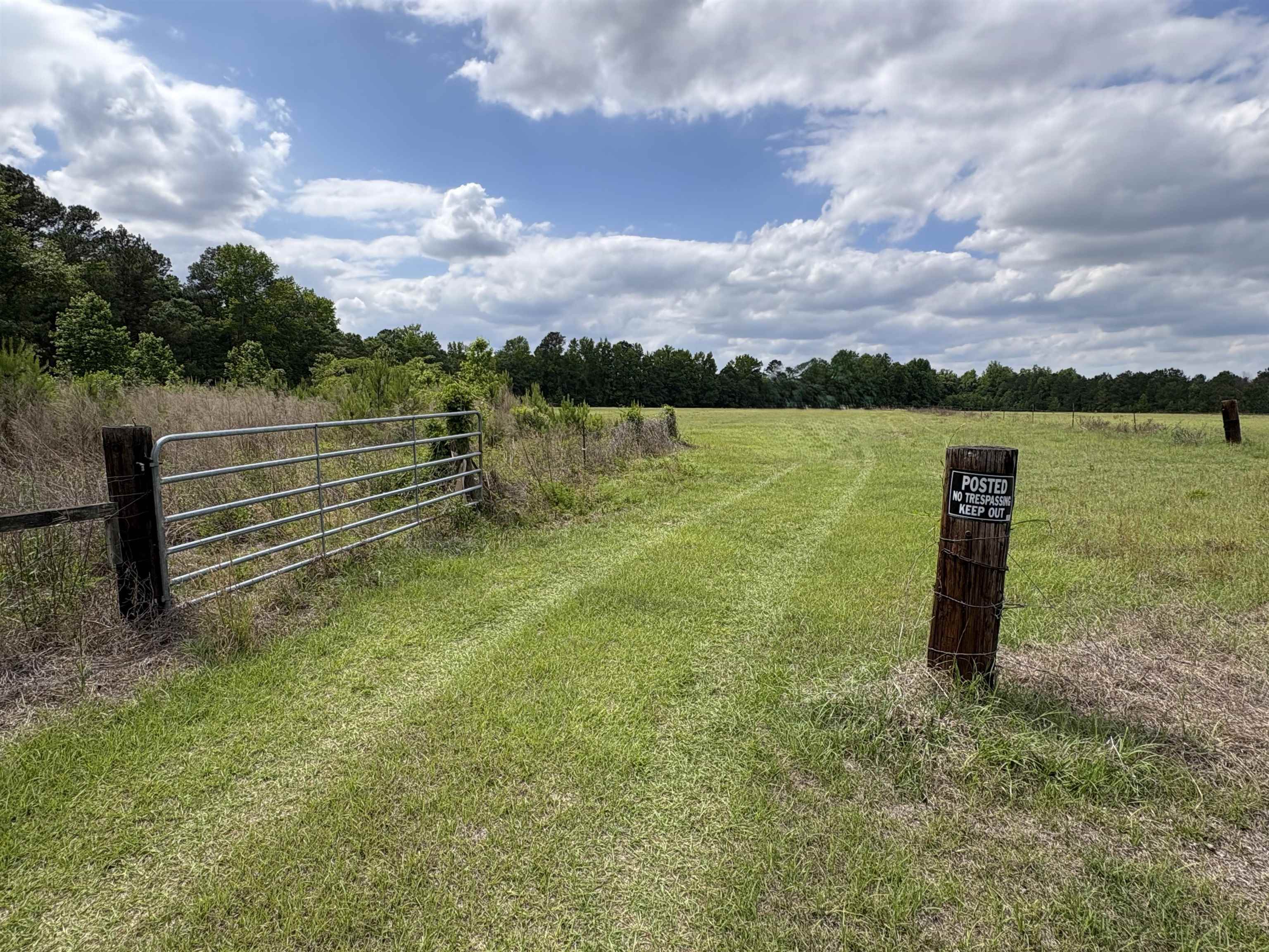 Grady Road Mullins, SC 29574 - Photo 4 of 4