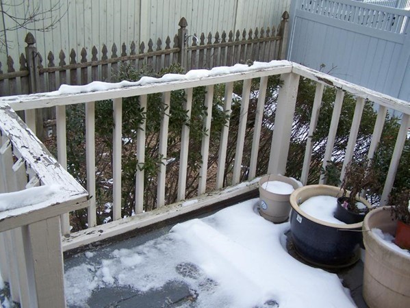 119 Reed Street Cambridge, MA 02140 - Photo 15 of 16 Gallery Image 15