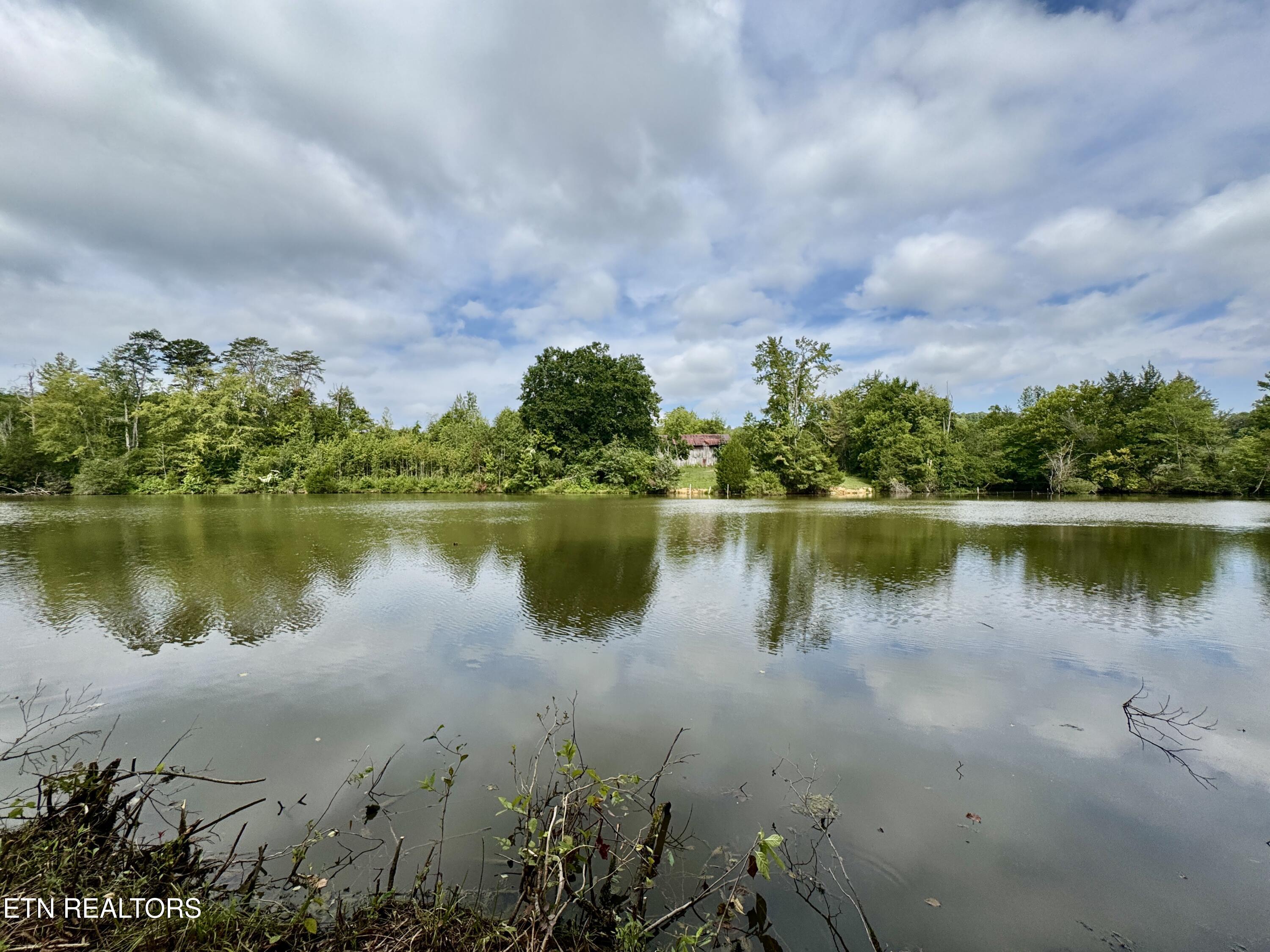 164 Eagle Ridge Road Kingston, TN 37763 - Photo 12 of 60 19