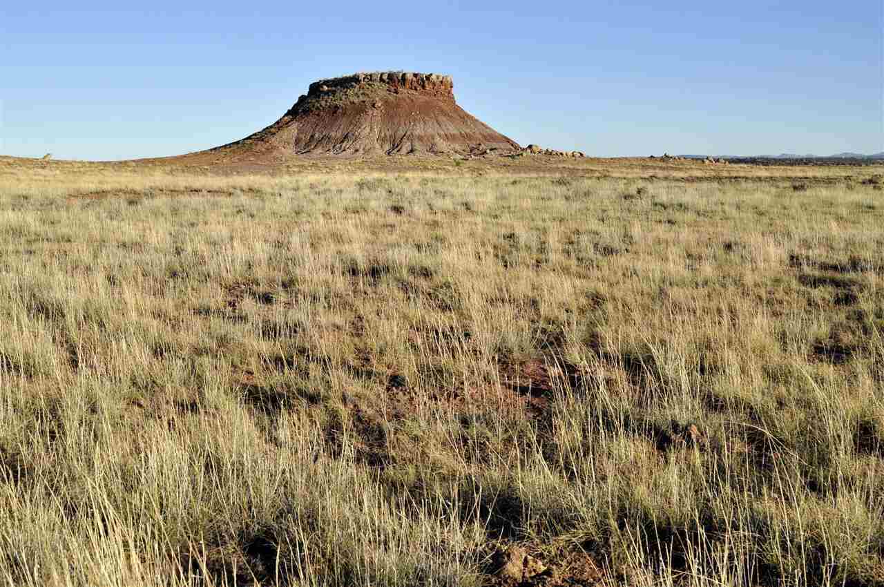 Lot 36 River Meadows Ranch Concho, AZ 85924 - Photo 1 of 10