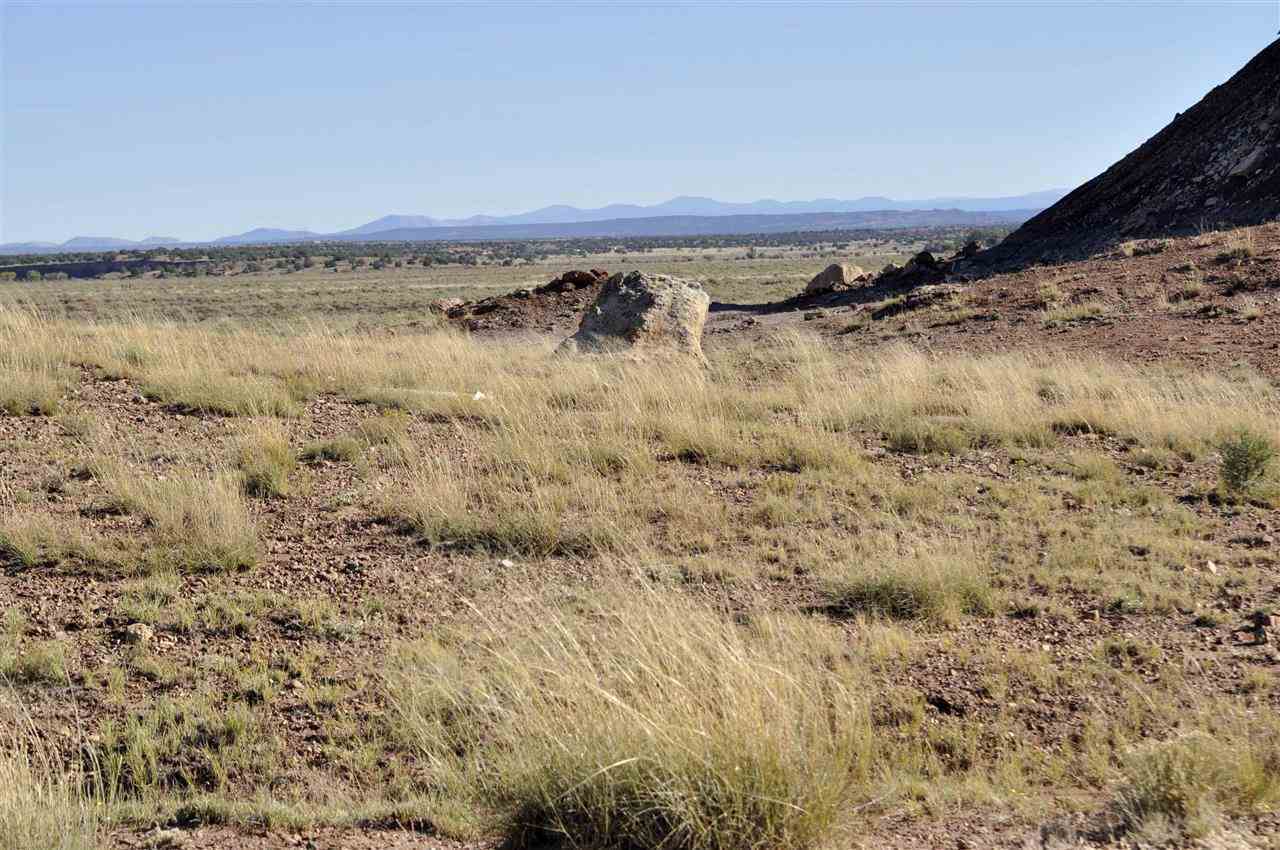 Lot 36 River Meadows Ranch Concho, AZ 85924 - Photo 2 of 10