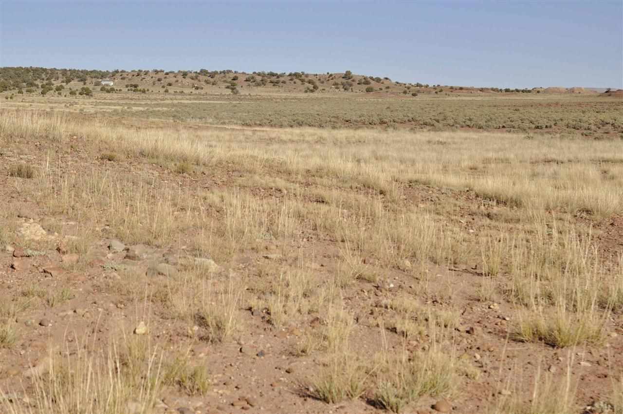 Lot 36 River Meadows Ranch Concho, AZ 85924 - Photo 3 of 10