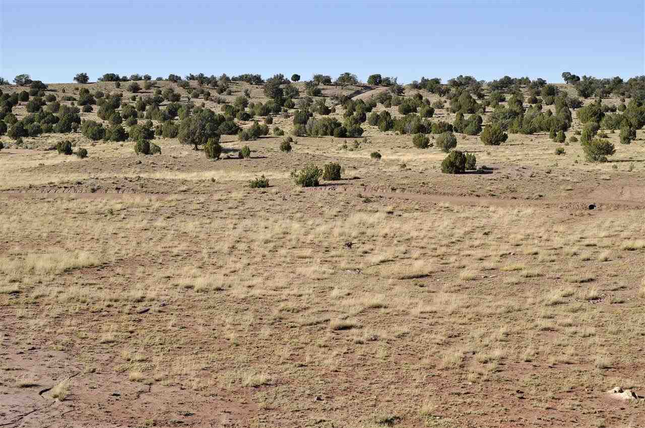 Lot 36 River Meadows Ranch Concho, AZ 85924 - Photo 4 of 10