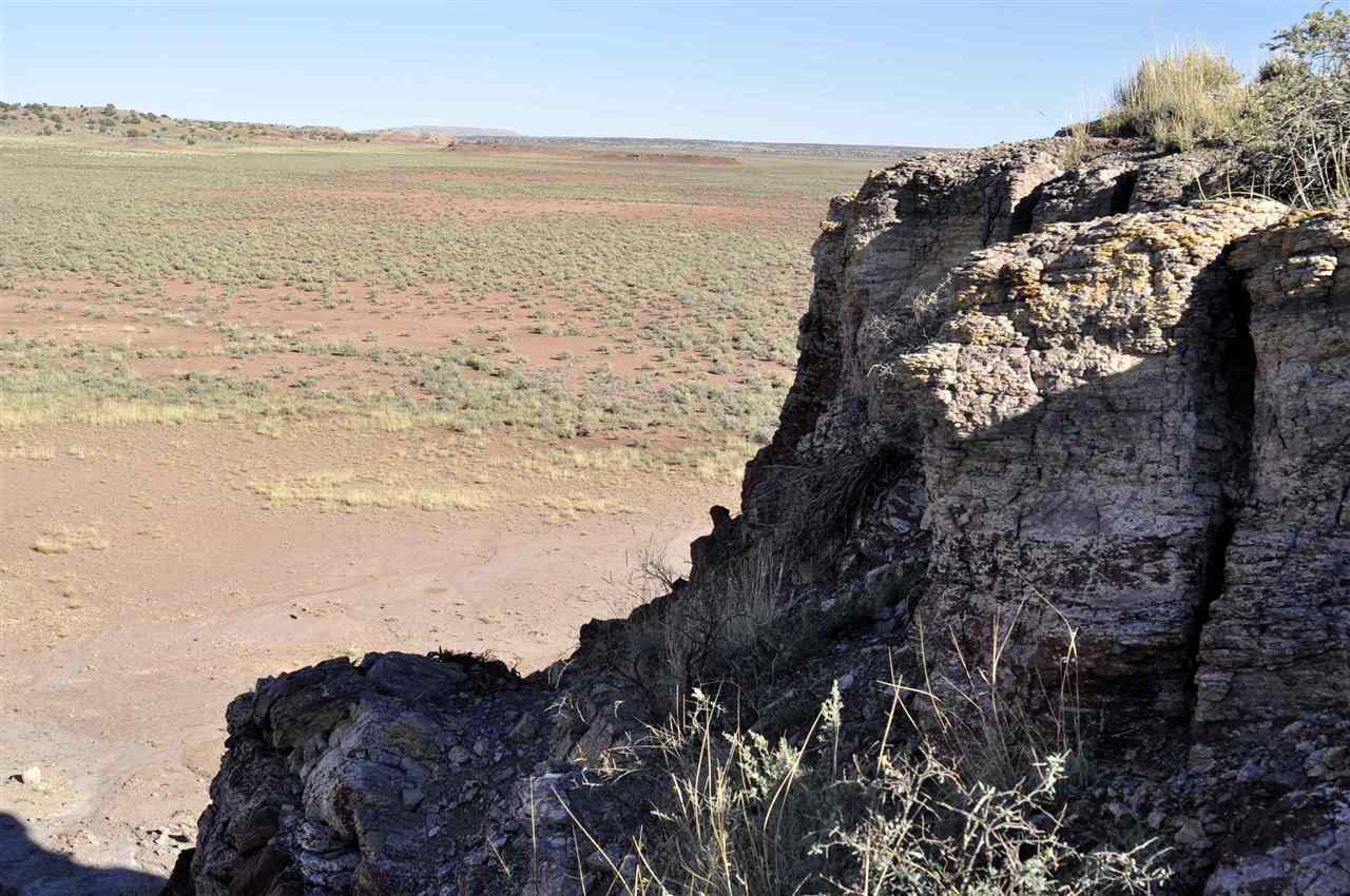 Lot 36 River Meadows Ranch Concho, AZ 85924 - Photo 5 of 10