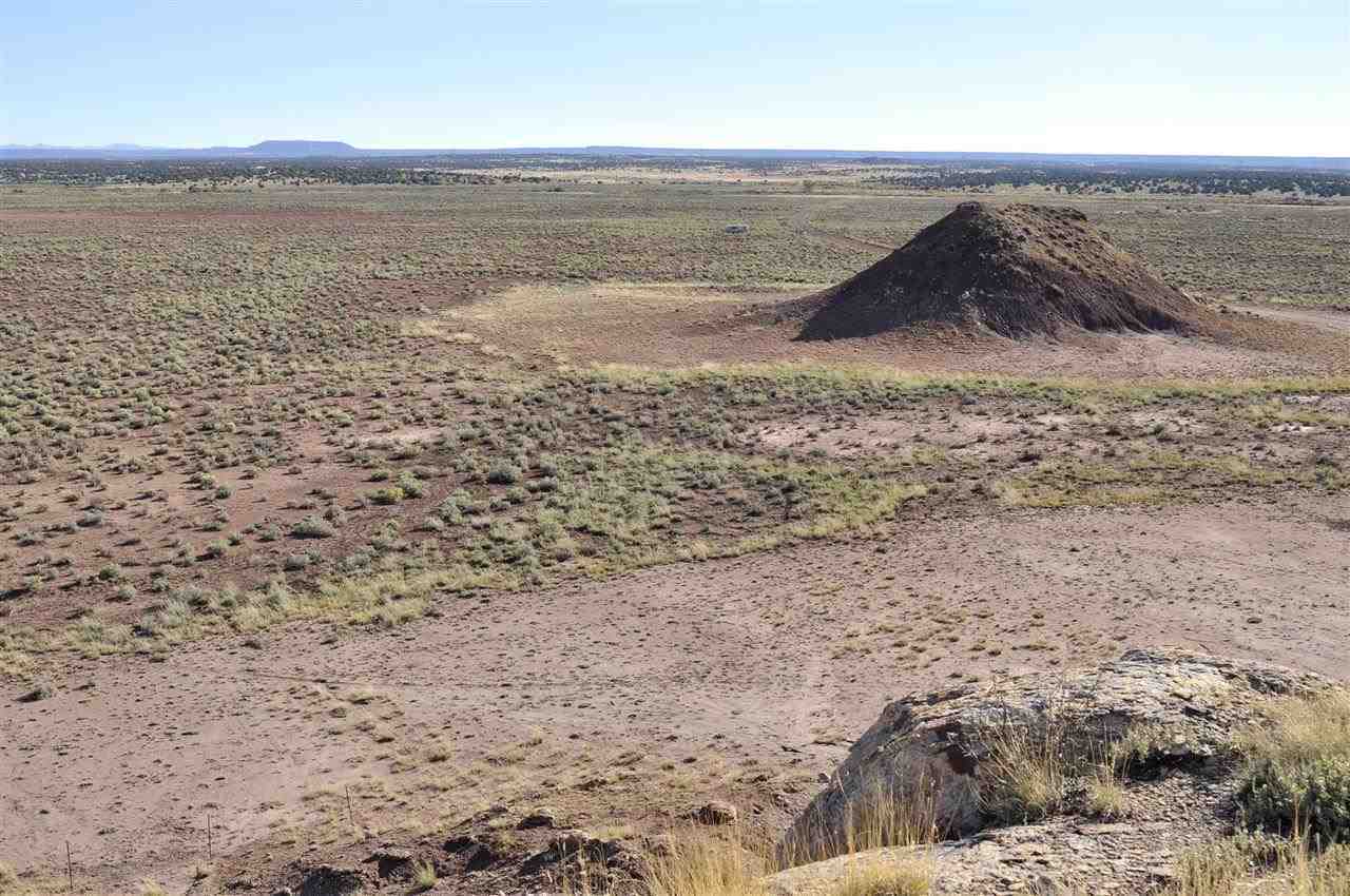 Lot 36 River Meadows Ranch Concho, AZ 85924 - Photo 6 of 10