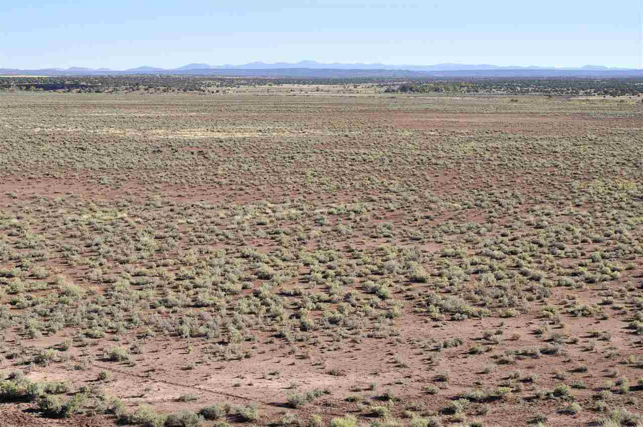 Lot 36 River Meadows Ranch Concho, AZ 85924 - Photo 7 of 10
