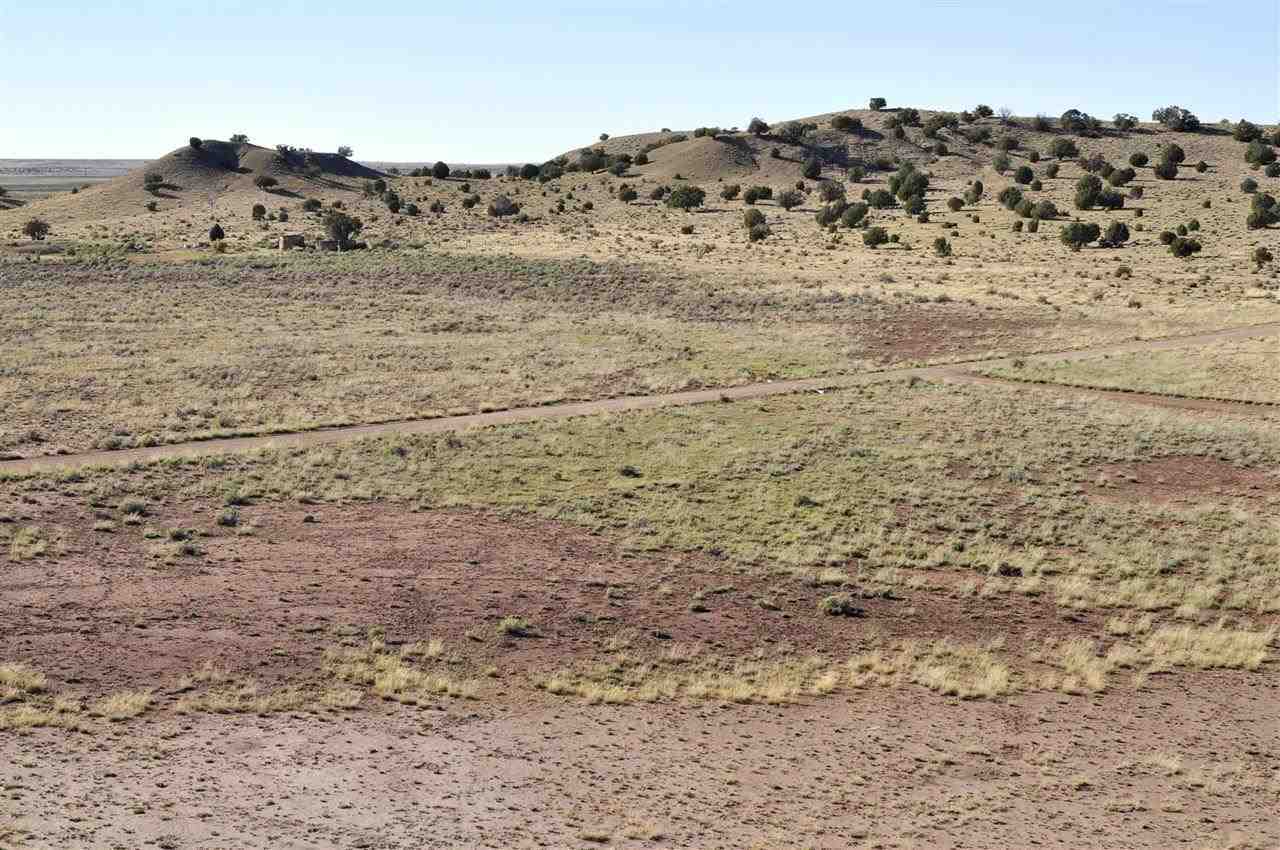Lot 36 River Meadows Ranch Concho, AZ 85924 - Photo 8 of 10
