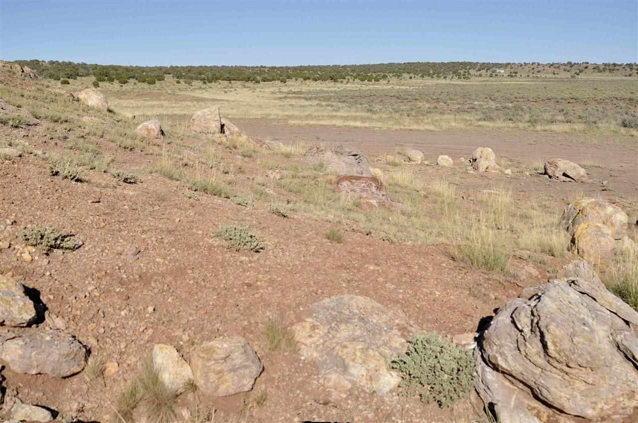 Lot 36 River Meadows Ranch Concho, AZ 85924 - Photo 9 of 10