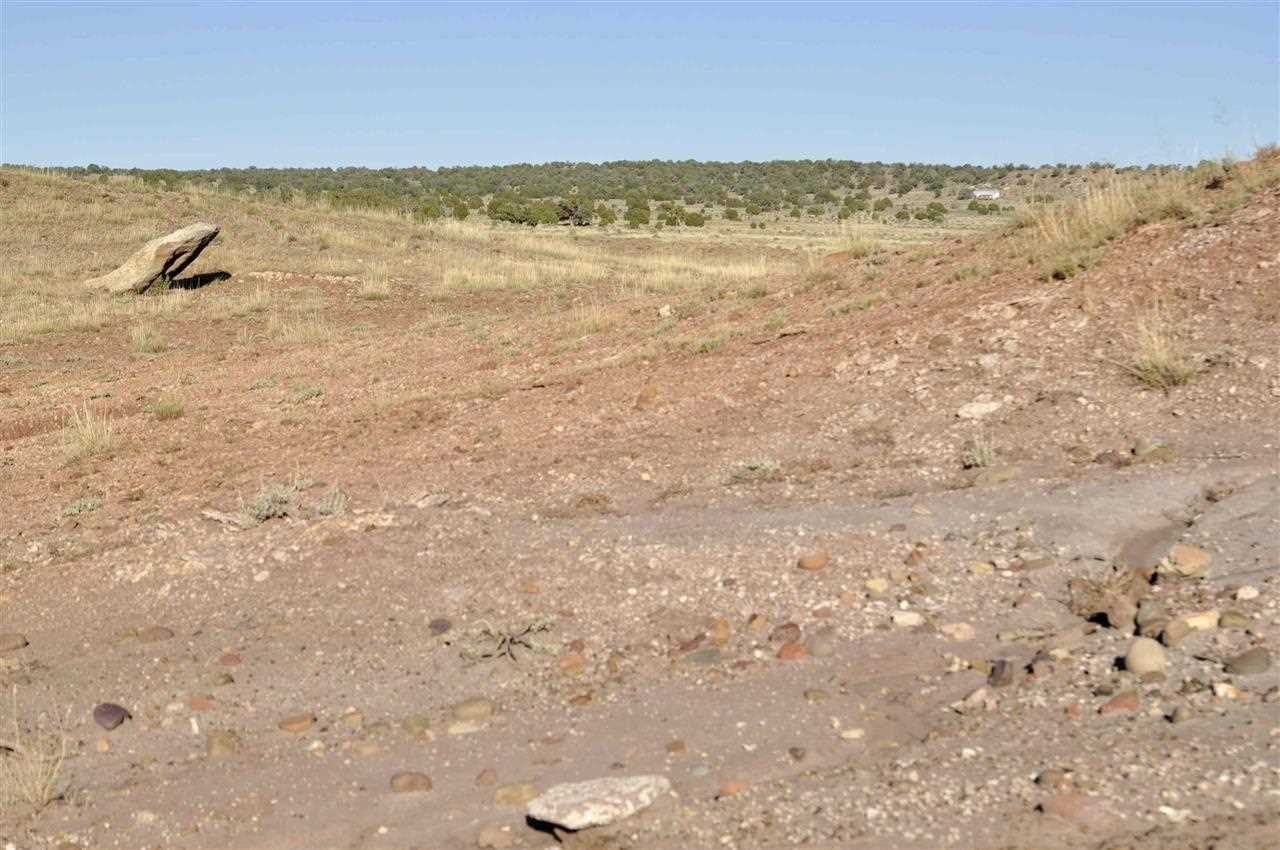 Lot 36 River Meadows Ranch Concho, AZ 85924 - Photo 10 of 10