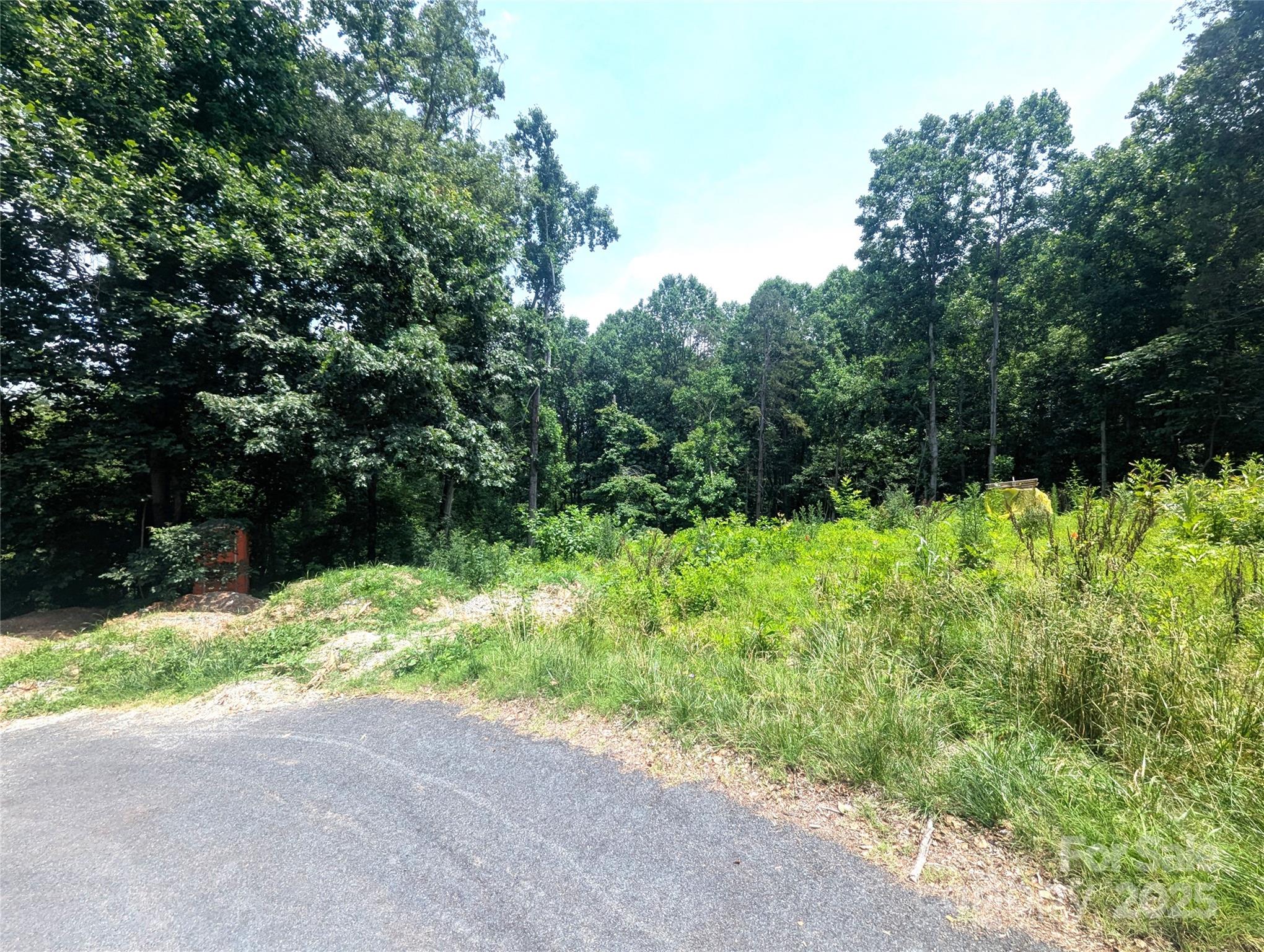 0 Windmill Road Salisbury, NC 28147 - Photo 4 of 4 a view of backyard with plants and trees