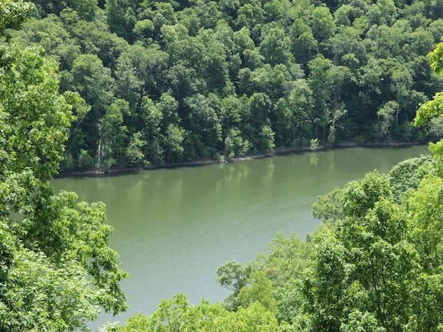 264 Stephens Point Road Russell Springs, KY 42642 - Photo 69 of 118 IMG_8452