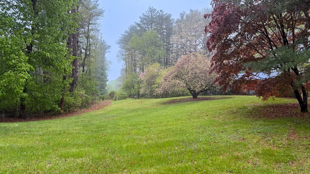 116 Lincoln Road Wayland, MA 01778 - Photo 18 of 26 a view of a field with trees in the background