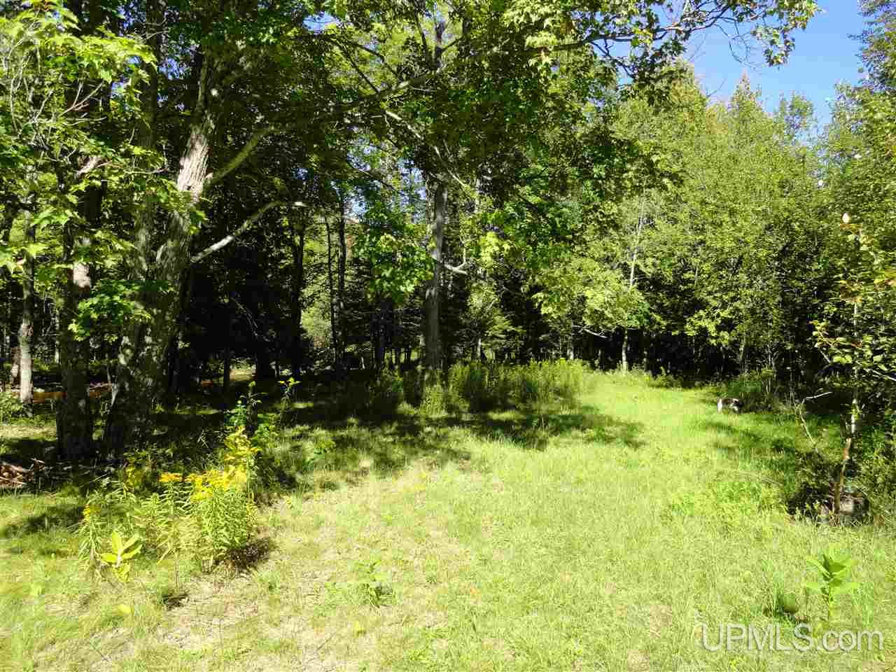 6386 Co Rd 432 Rock, MI 49880 - Photo 20 of 39