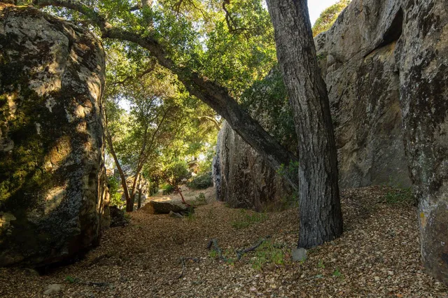 $4,495,000 | 5651 West Camino Cielo, Santa Barbara, CA 93105