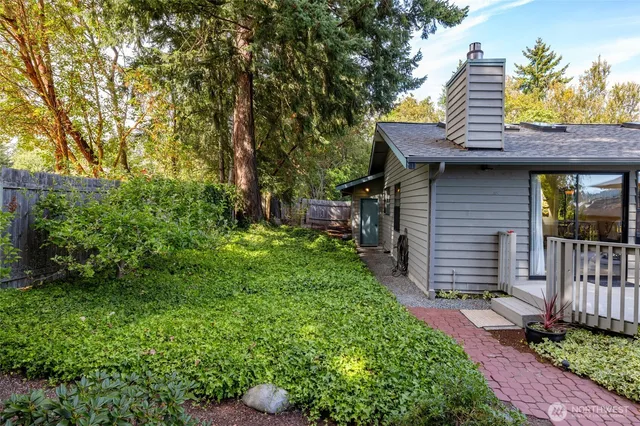 a view of a flower in a garden