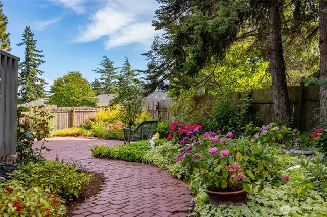 a view of a garden with pathway