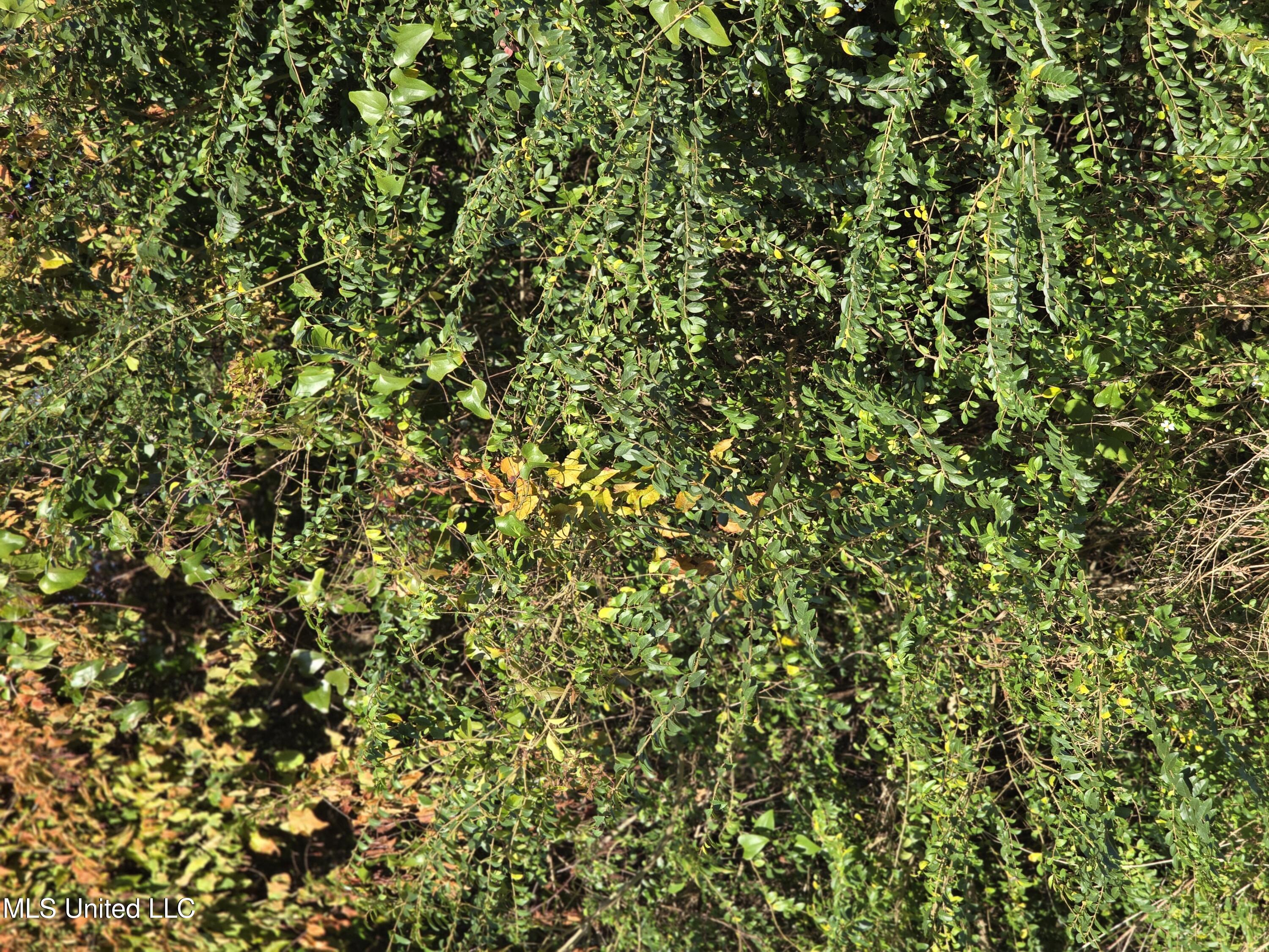 APPLEGATE 40 AC LANDLOCKED