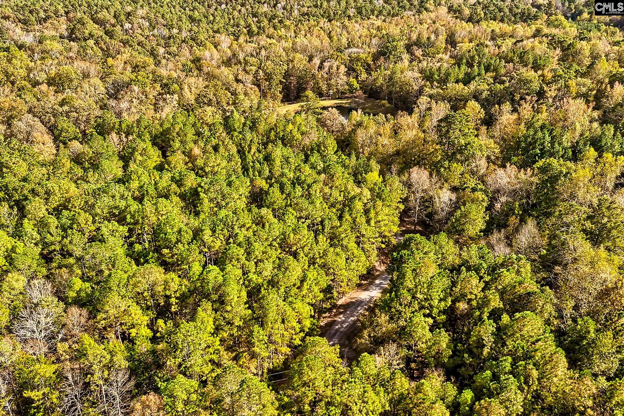 1348 Koon Trestle Road Pomaria, SC 29126 - Photo 67 of 72
