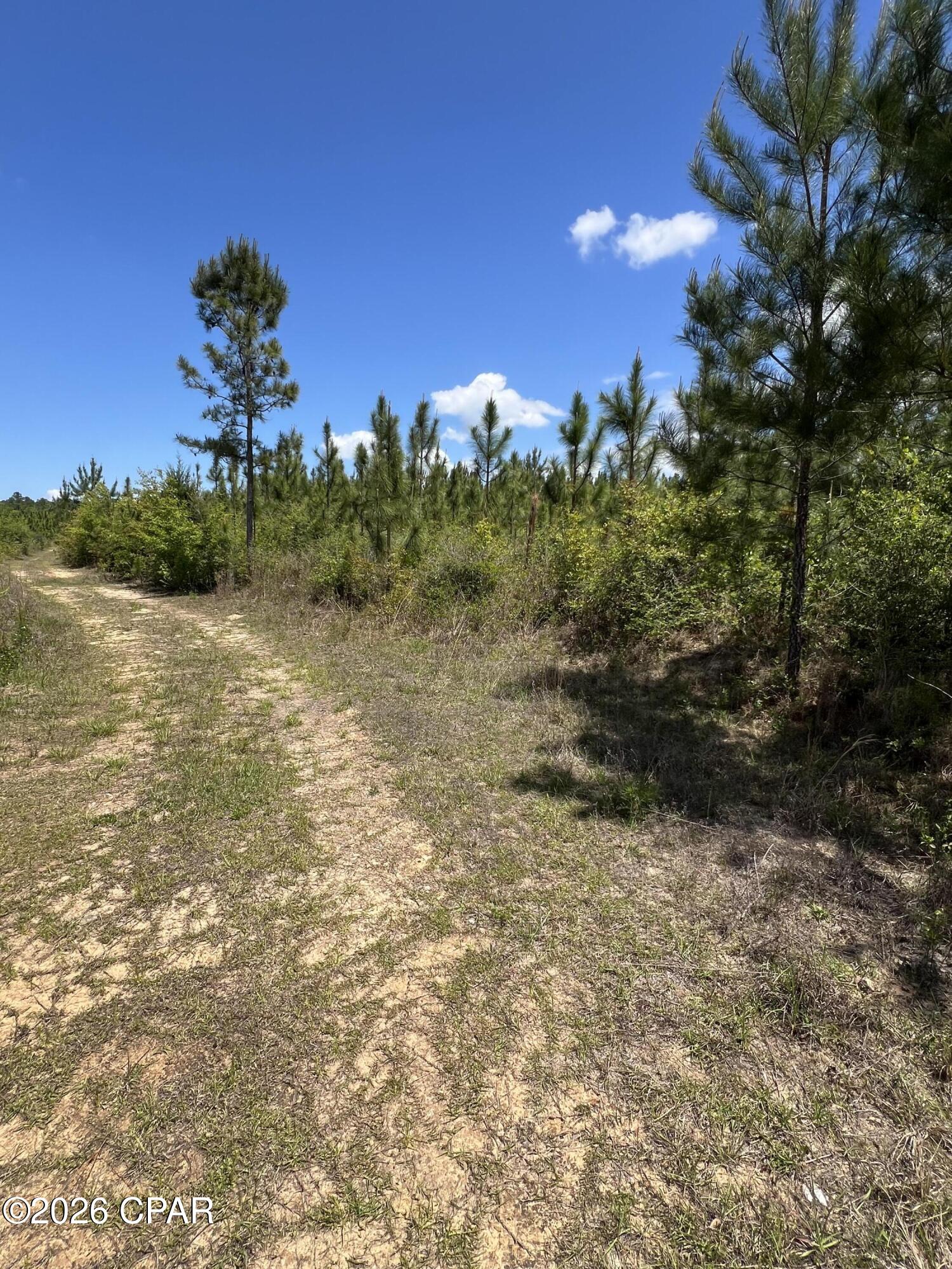 0 Goodman Hill Road Chipley, FL 32428 - Photo 3 of 9