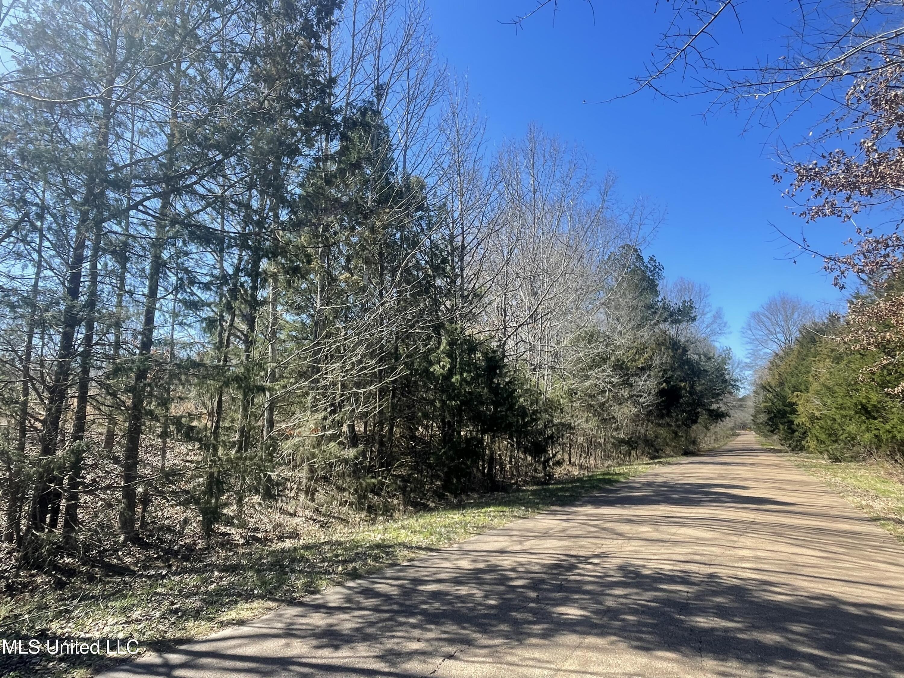 Darden Road Jackson, MS 39213 - Photo 1 of 8 IMG_3155