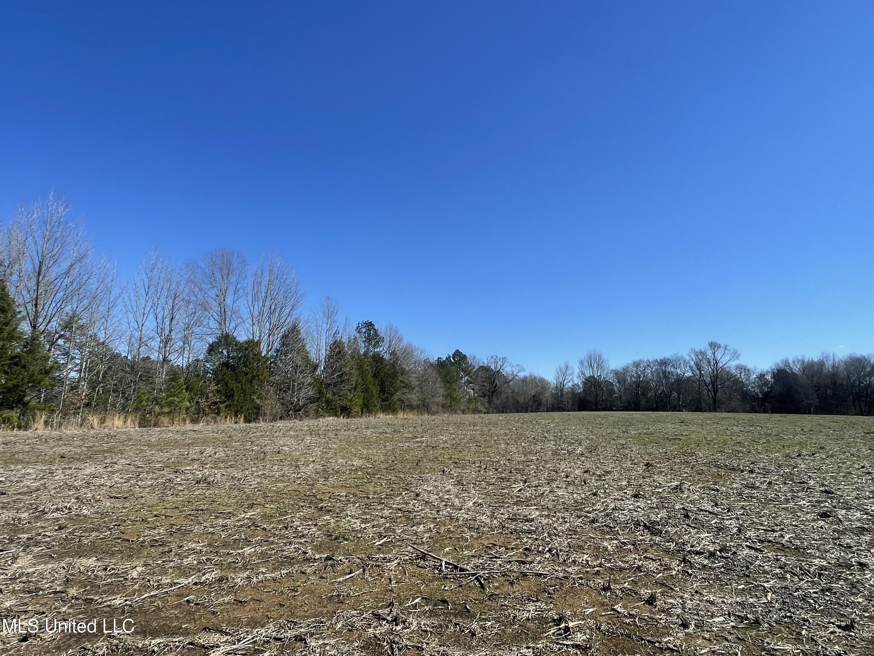 Darden Road Jackson, MS 39213 - Photo 6 of 8 IMG_3173