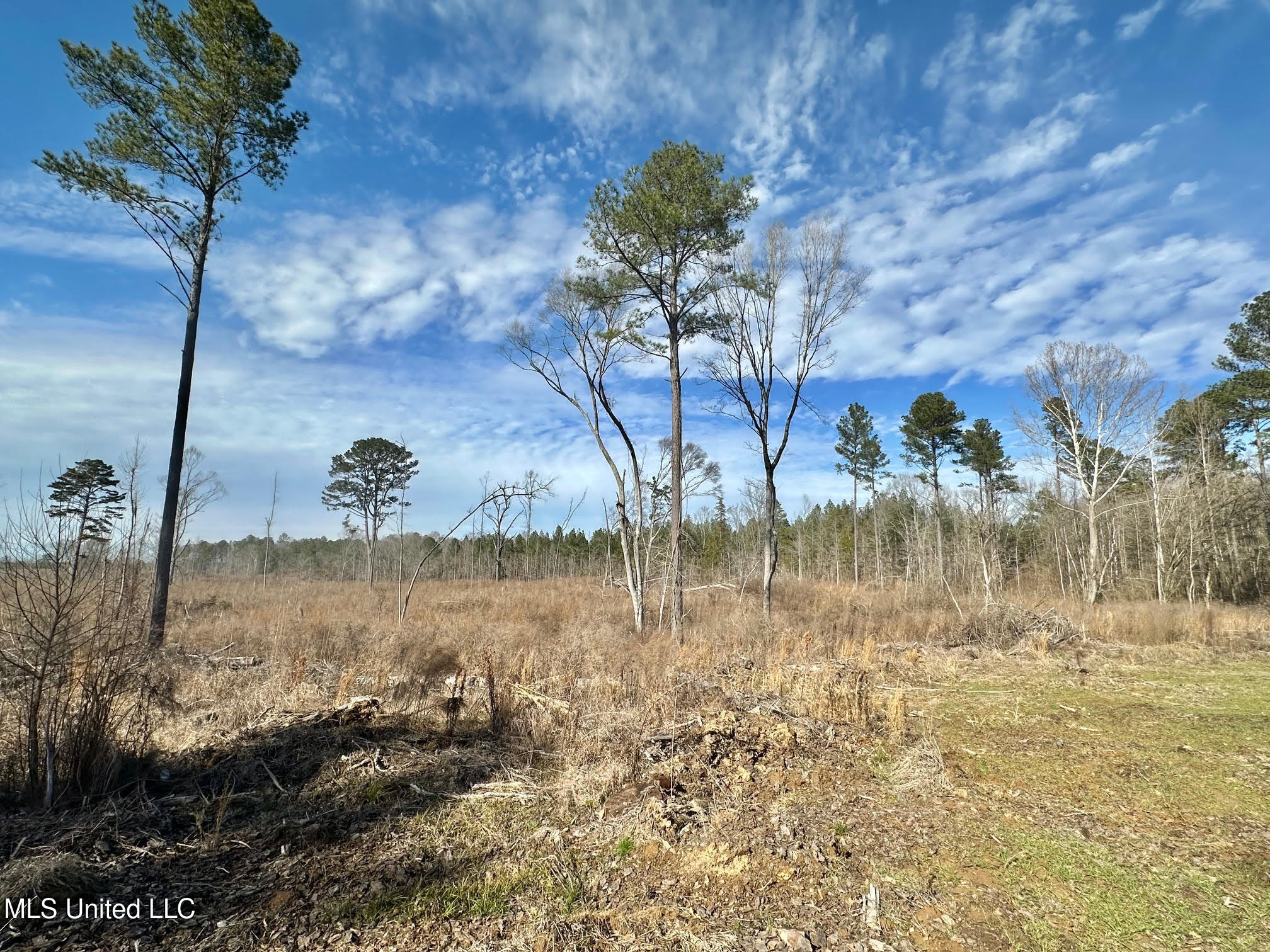 4 Prentiss Crump Road Utica, MS 39175 - Photo 15 of 28 589