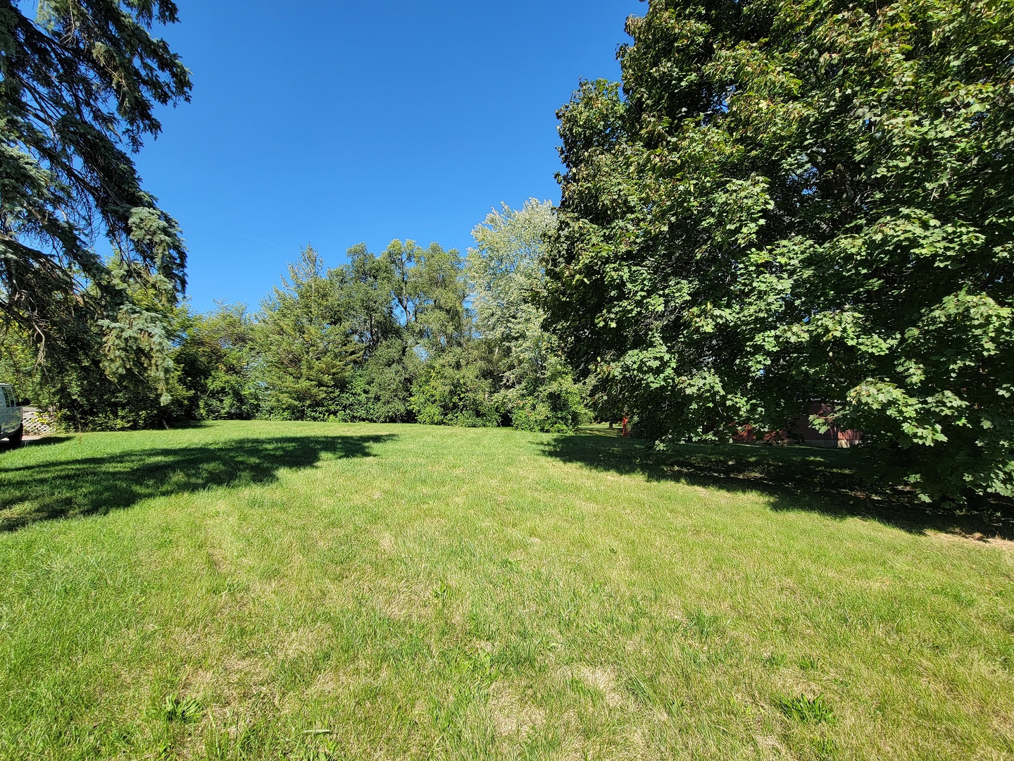 28W450 Roosevelt Road Winfield, IL 60190 - Photo 23 of 28 a view of a yard with a trees