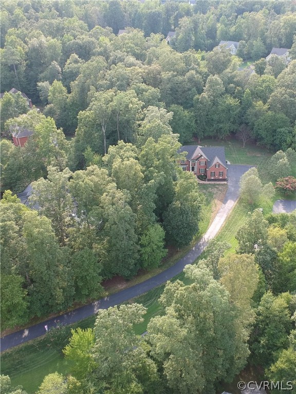3504 Robious Forest Way Midlothian, VA 23113 - Photo 4 of 38 The house is tucked away behind a private driveway