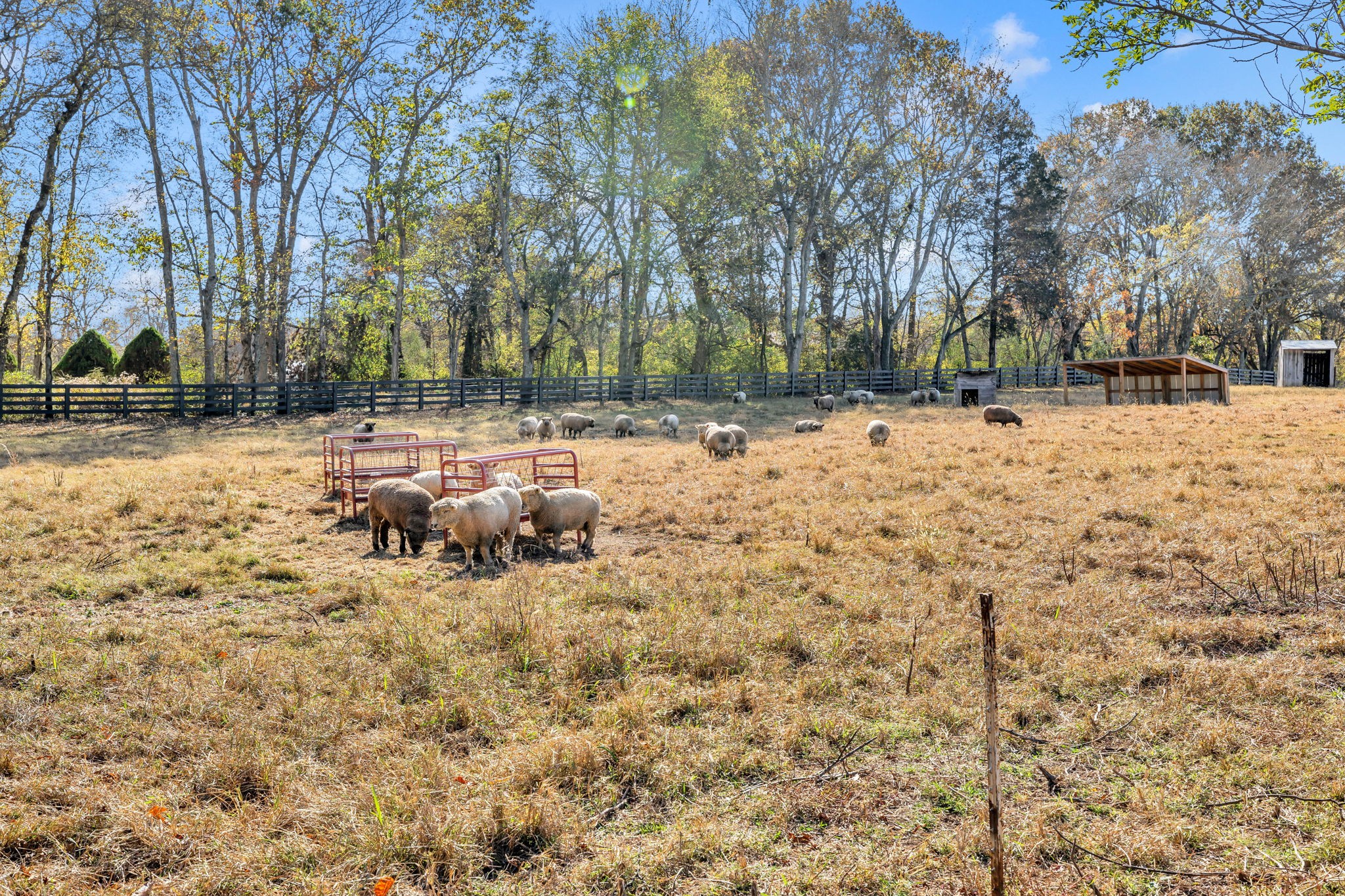 3111 Carl Road Franklin, TN 37064 - Photo 52 of 65