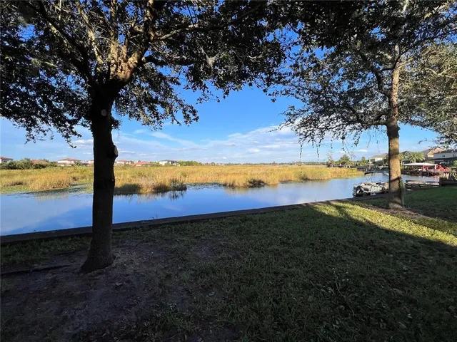 $6,000 | 11539 Brickyard Pond Lane, Windermere, FL 34786