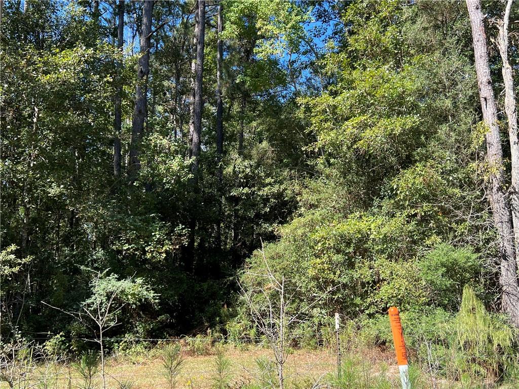 Lot West Fontana Road Independence, LA 70443 - Photo 2 of 7
