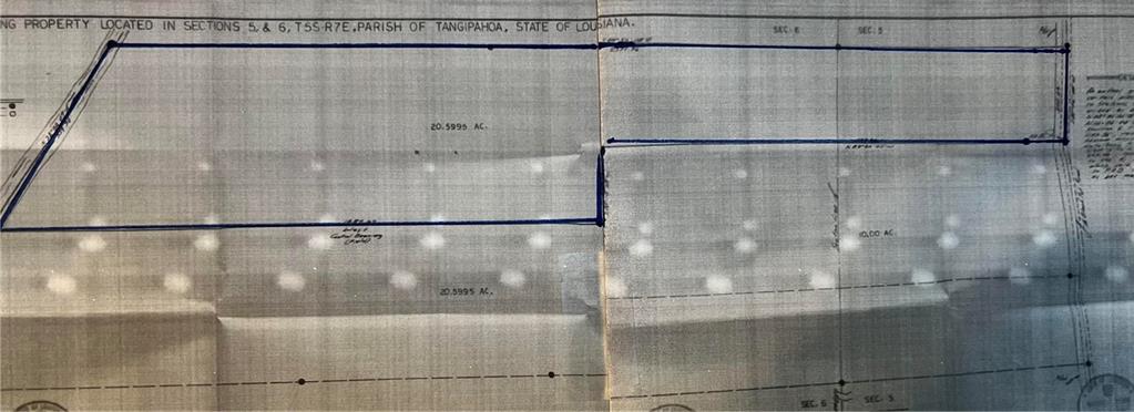 Lot West Fontana Road Independence, LA 70443 - Photo 5 of 7