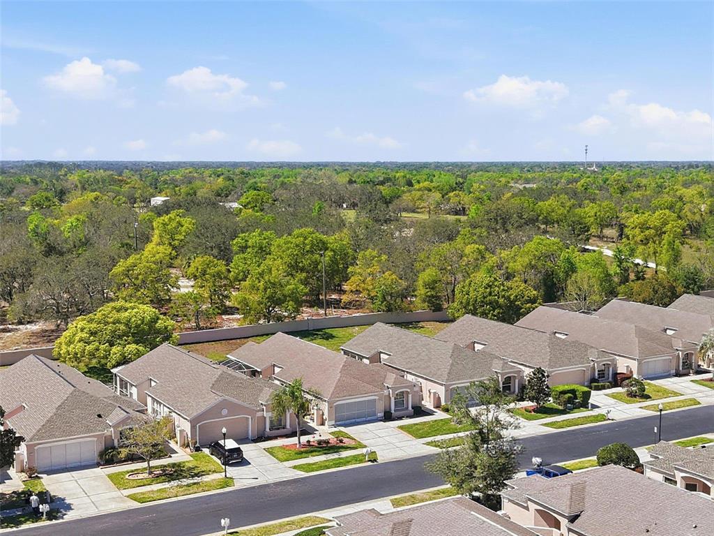 363 Royal Palm Way Spring Hill, FL 34608 - Photo 27 of 28