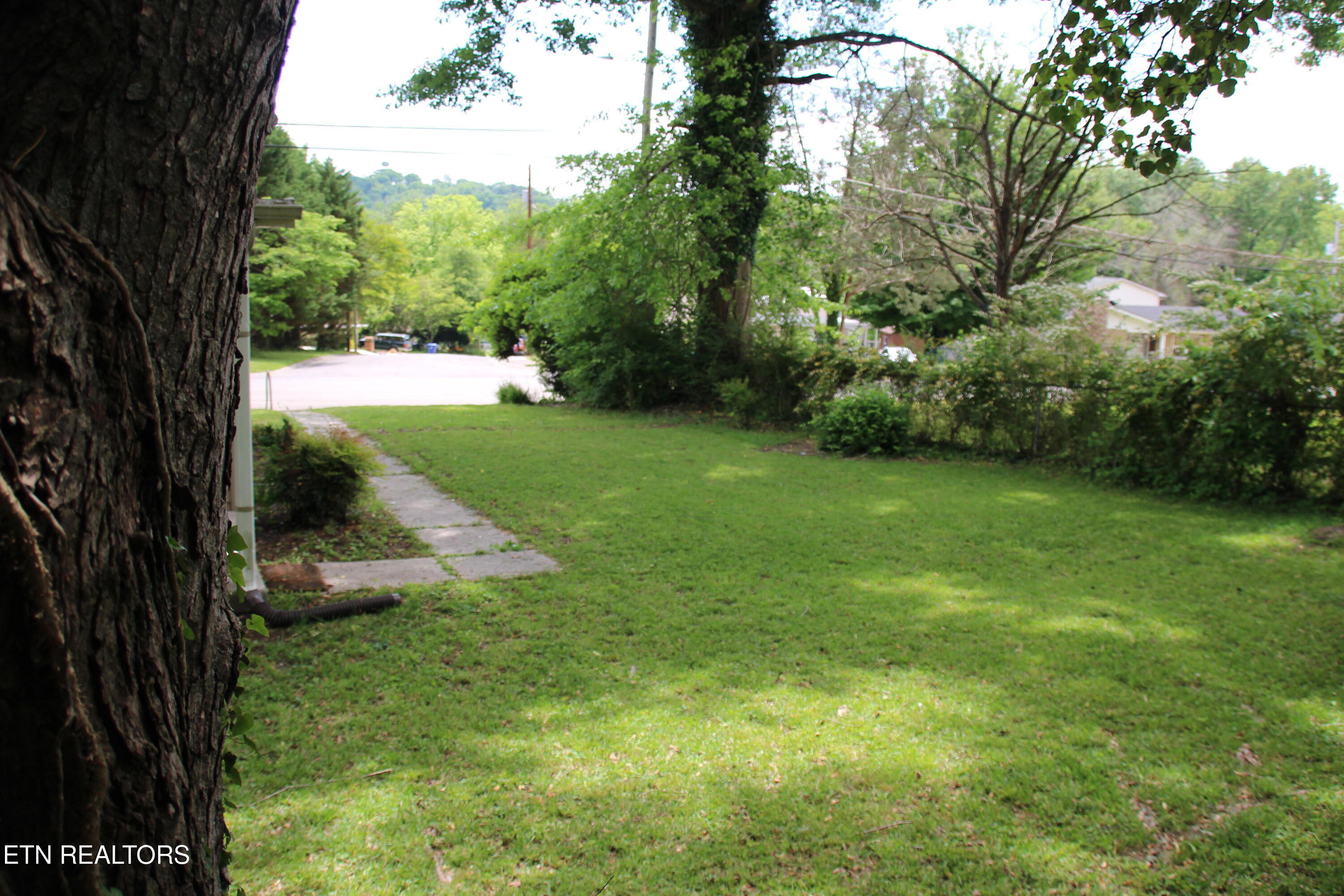 203 Northwestern Avenue Oak Ridge, TN 37830 - Photo 12 of 15 Side yard
