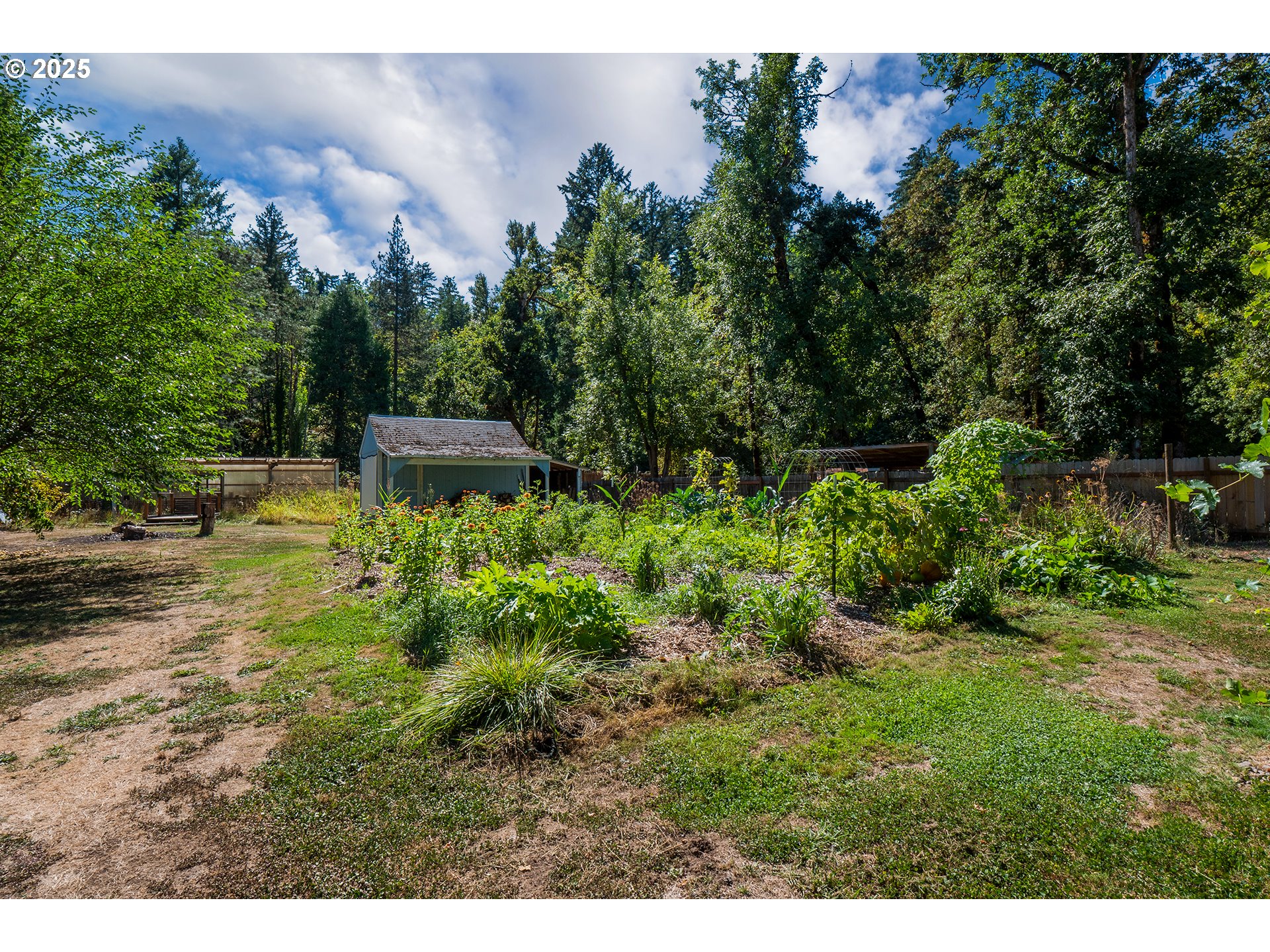 89387 Old Mohawk Road Springfield, OR 97478 - Photo 24 of 38