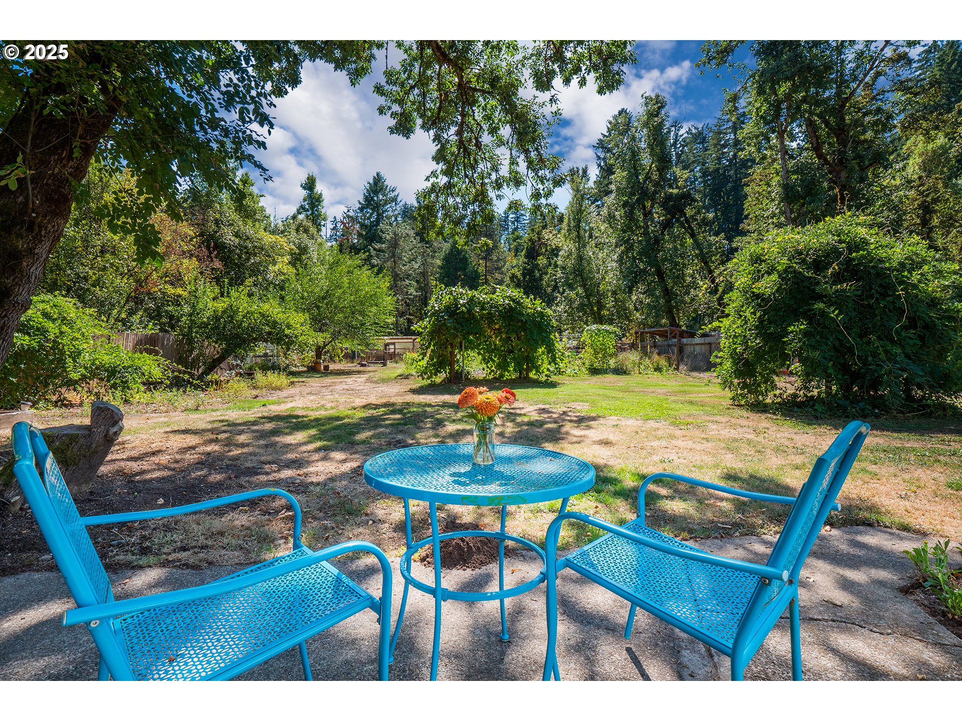 89387 Old Mohawk Road Springfield, OR 97478 - Photo 26 of 38