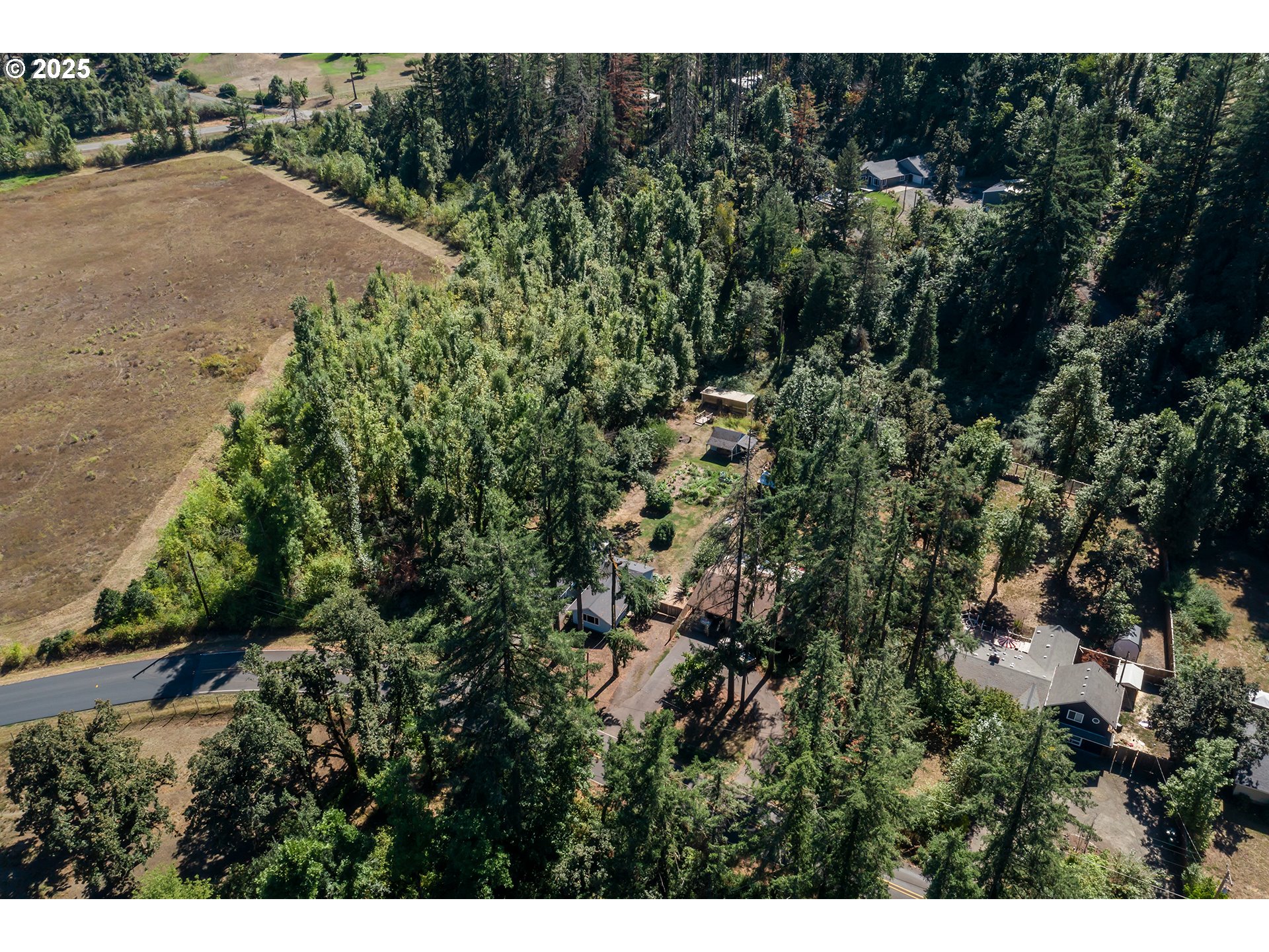 89387 Old Mohawk Road Springfield, OR 97478 - Photo 33 of 38