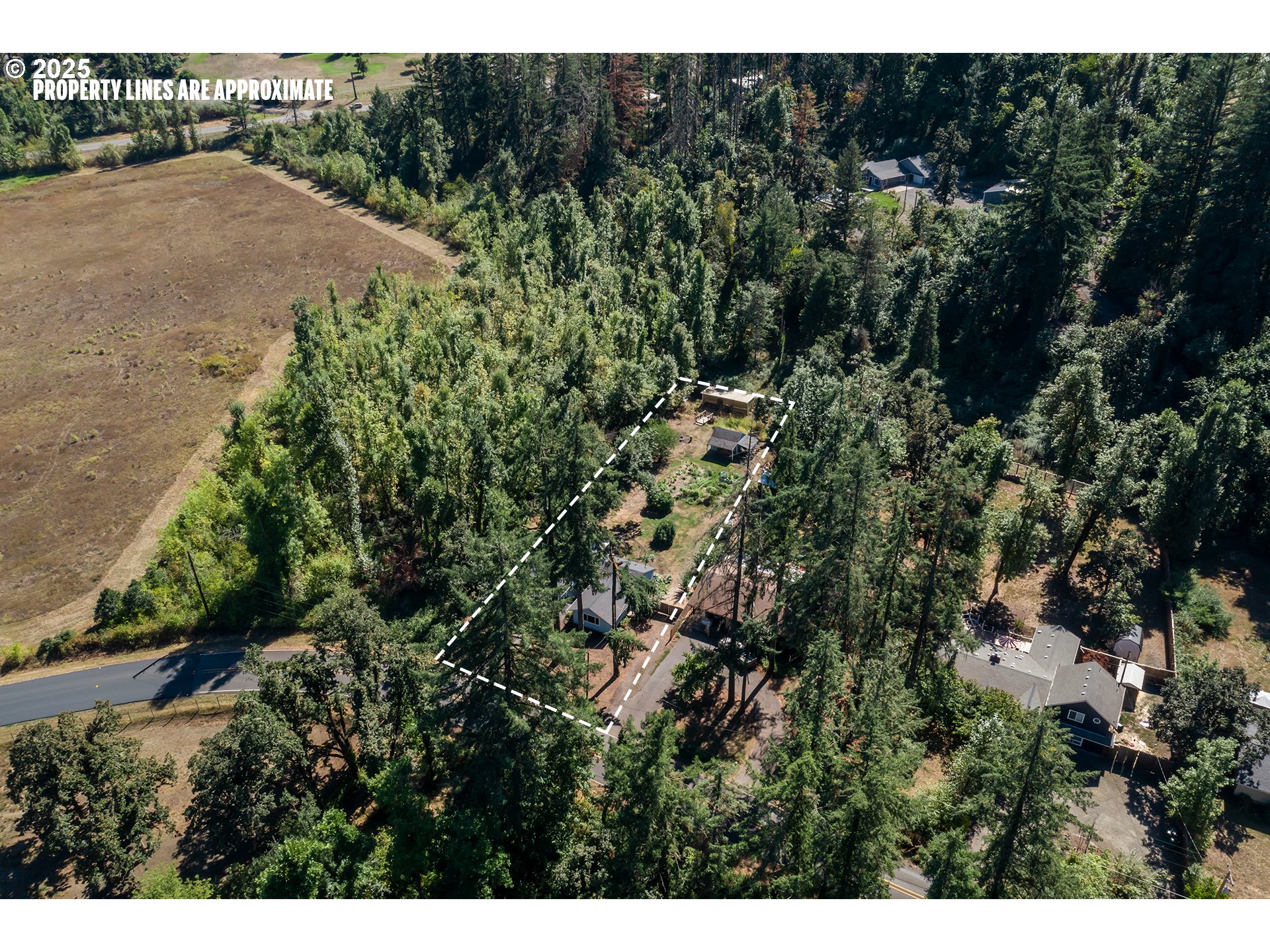 89387 Old Mohawk Road Springfield, OR 97478 - Photo 34 of 38