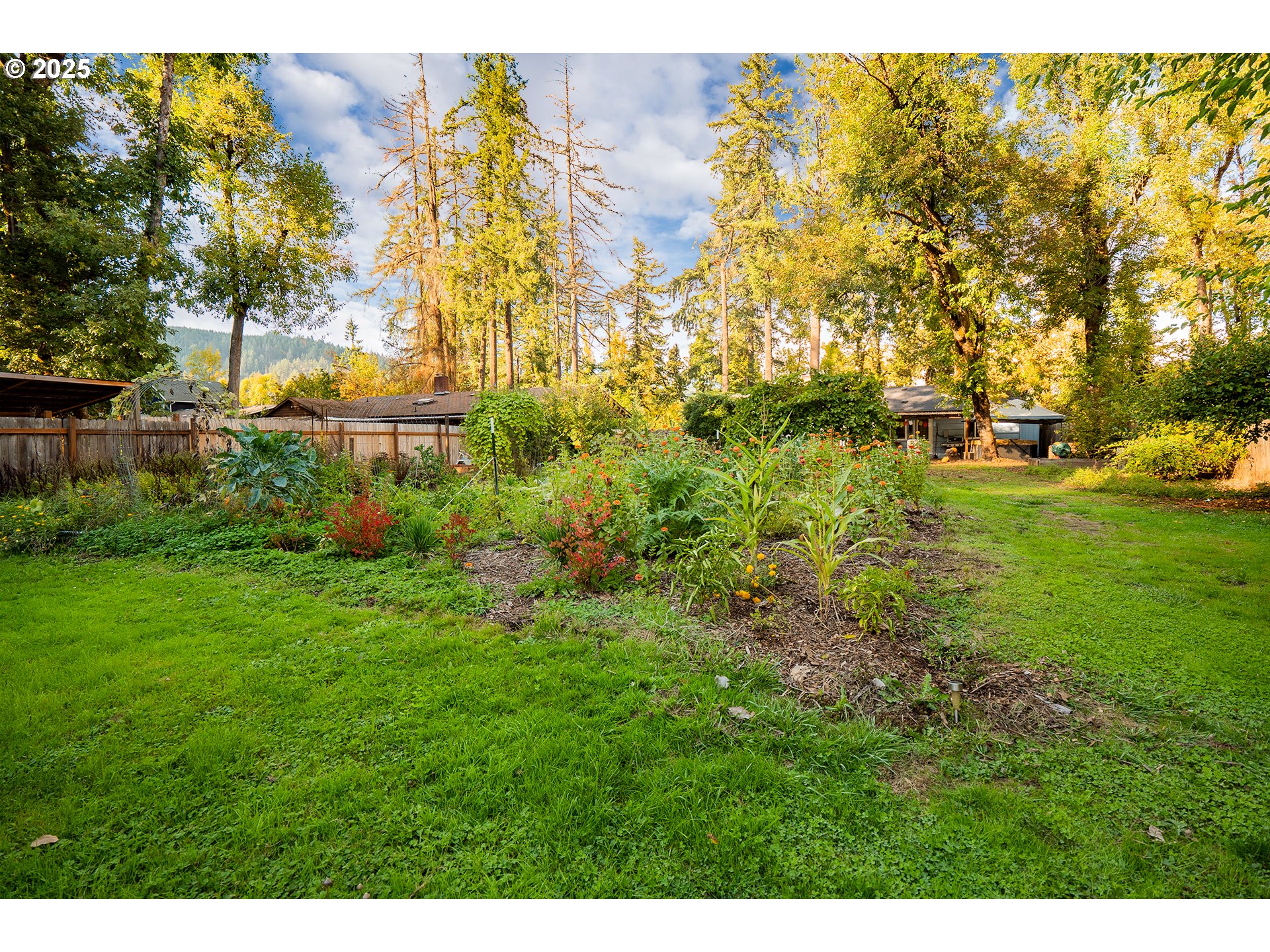 89387 Old Mohawk Road Springfield, OR 97478 - Photo 35 of 38