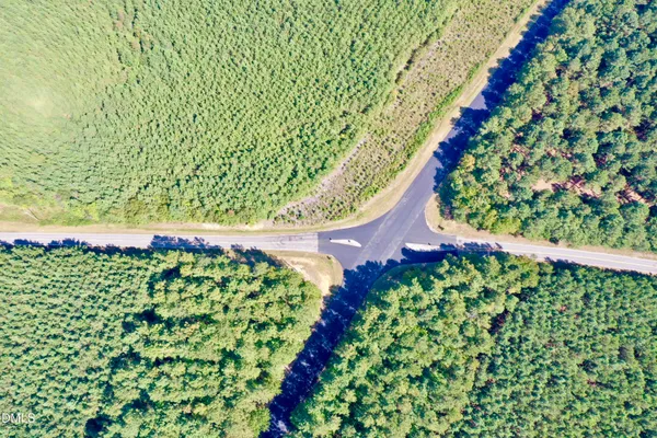 a green field with flowers in the background