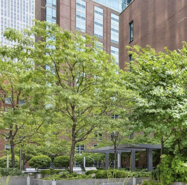 845 North State Street, Unit 902 Chicago, IL 60610 - Photo 17 of 27