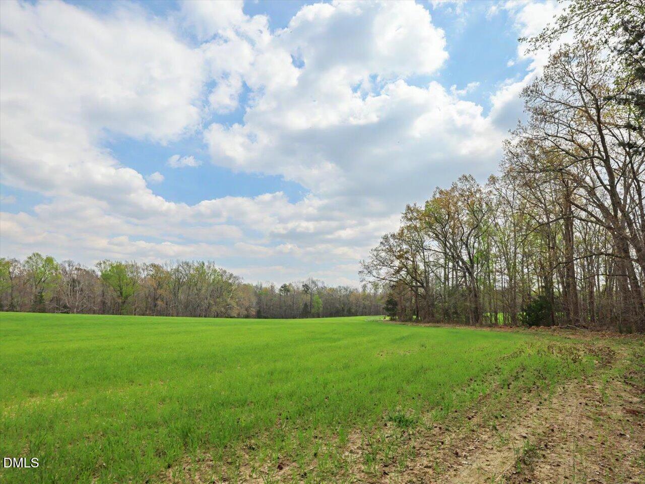 7793 Ridgeville Road Leasburg, NC 27291 - Photo 55 of 91