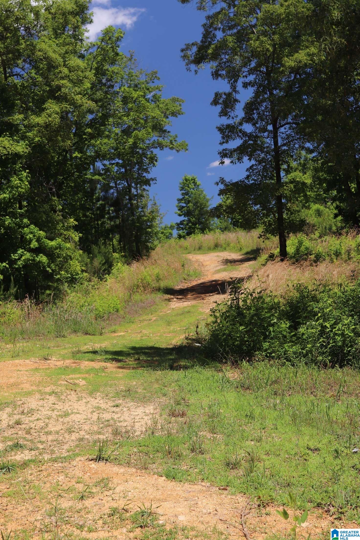 2930 Shocco Springs Road Talladega, AL 35160 - Photo 7 of 93