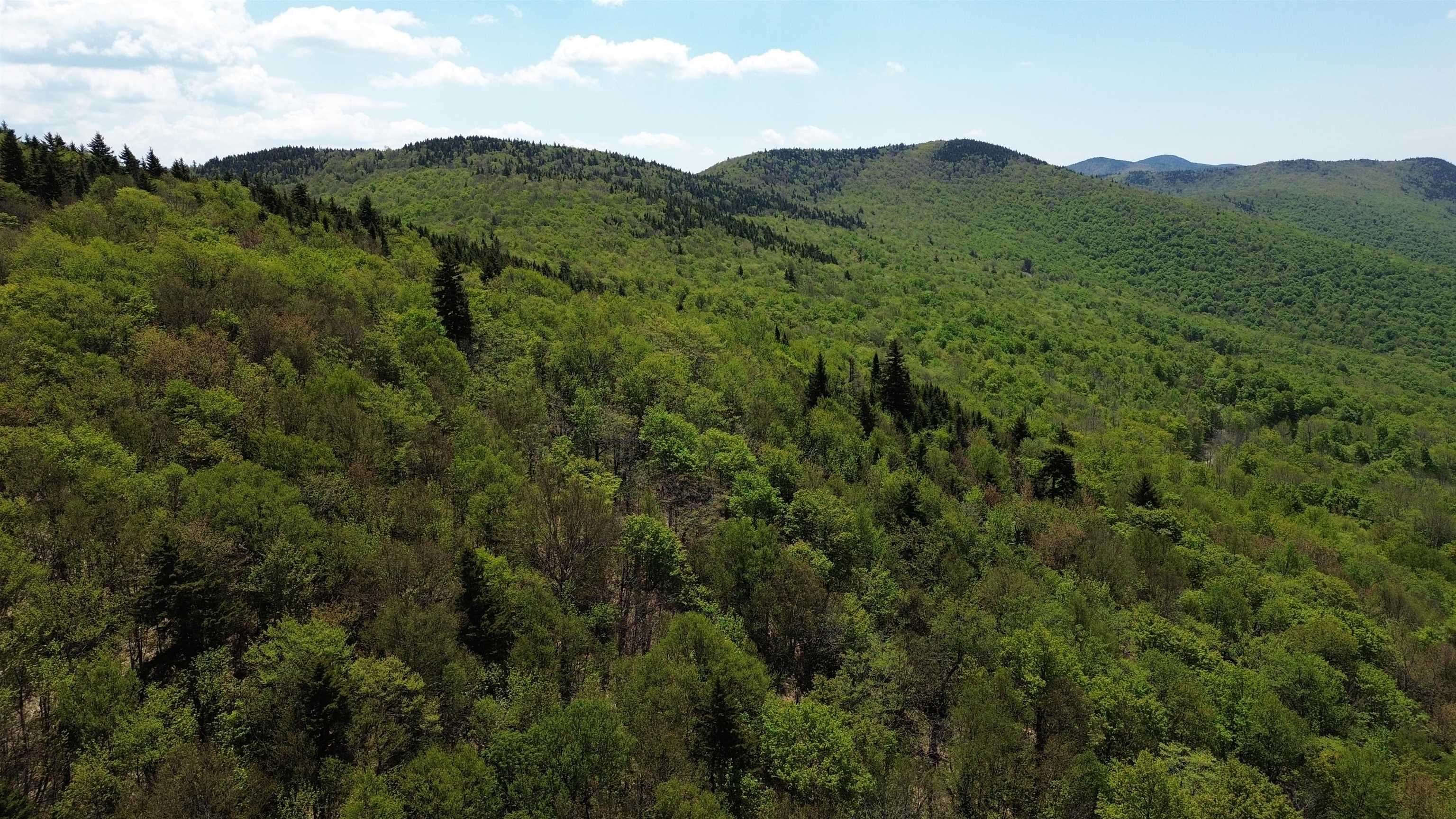 2016 Roxbury Mountain Road Warren, VT 05674 - Photo 10 of 18