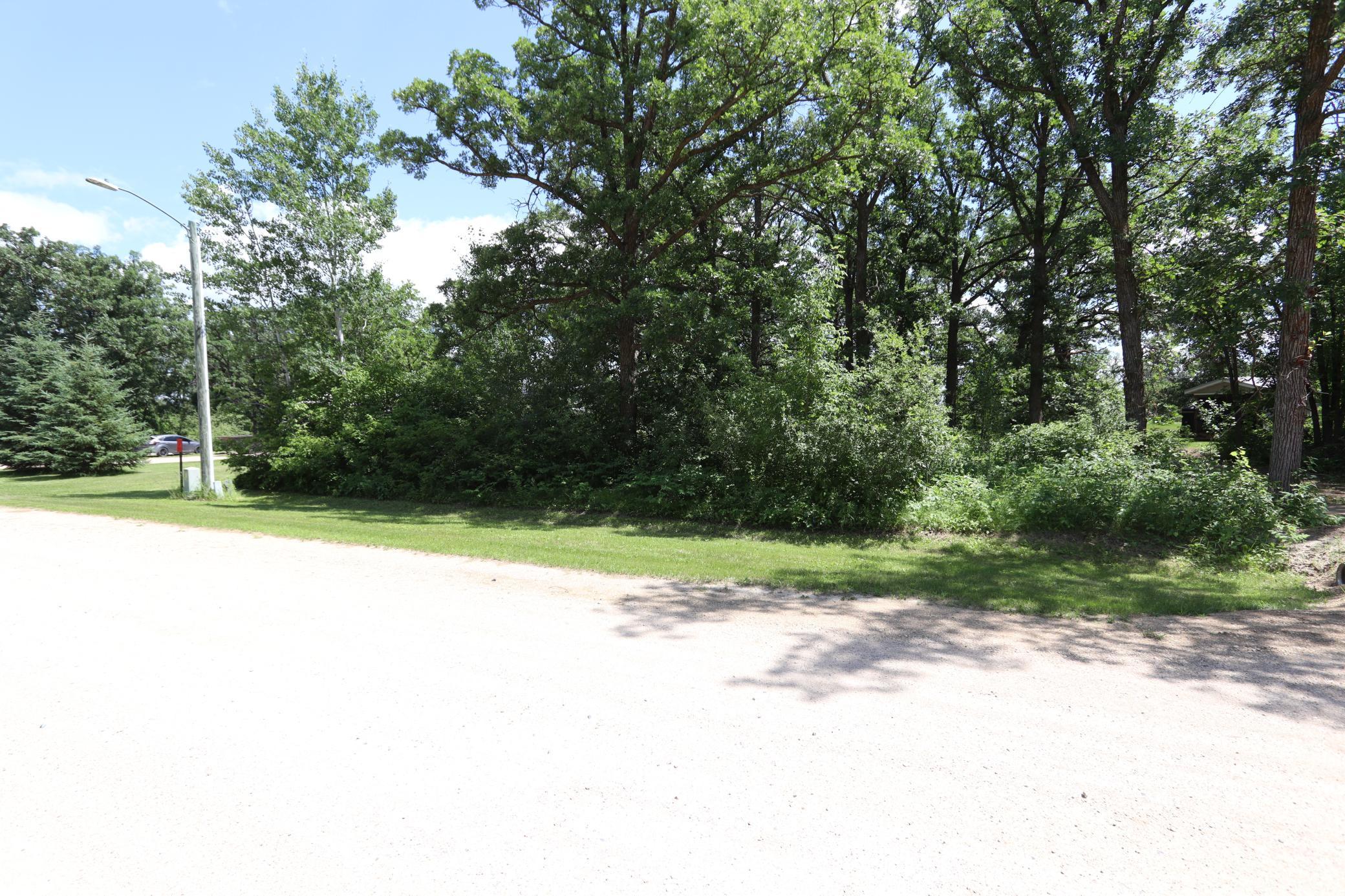 752 Lenmark Lane Badger, MN 56714 - Photo 33 of 42