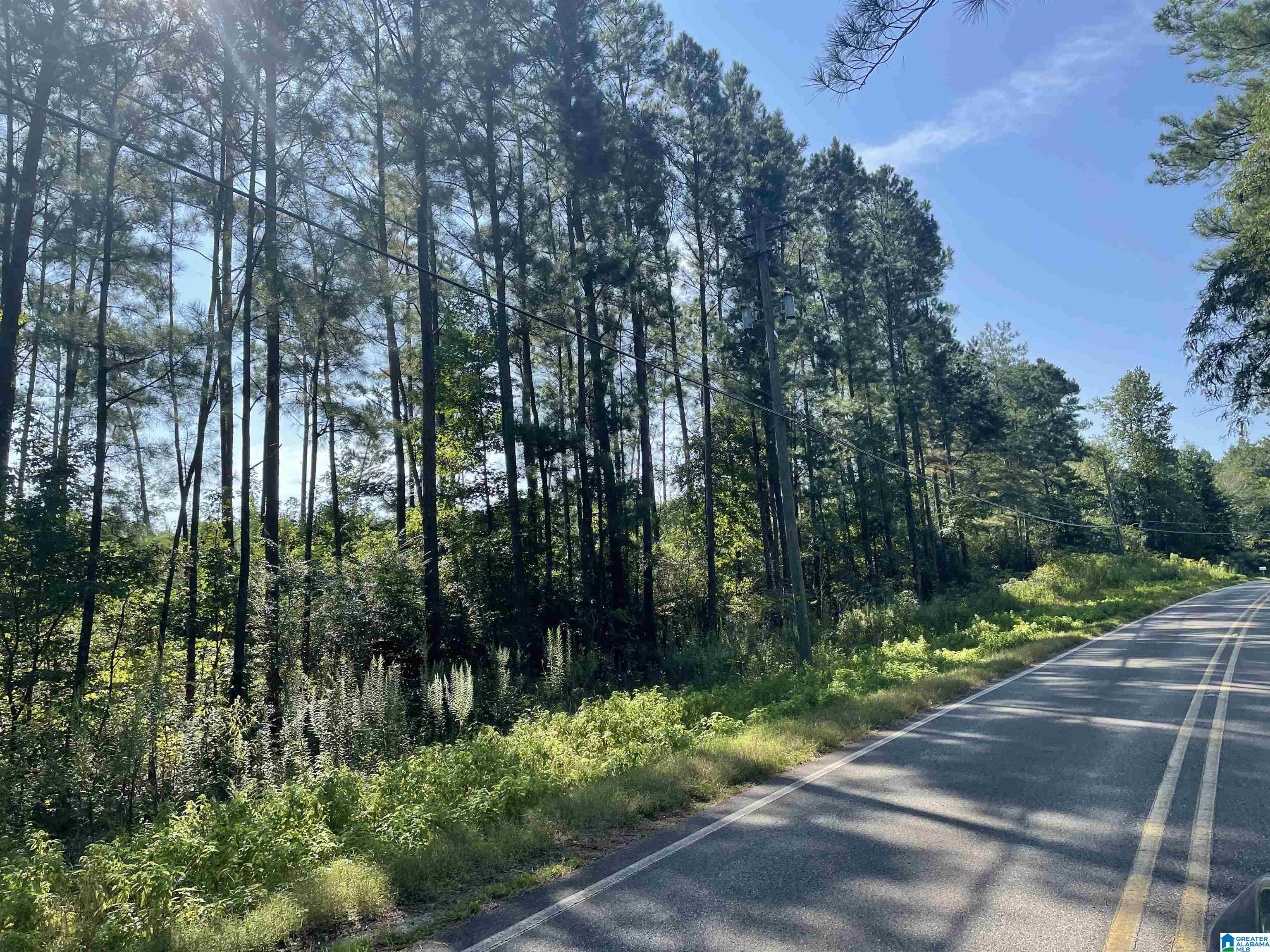 8760 Marsh Mountain Road, Unit 223 Pinson, AL 35126 - Photo 23 of 51