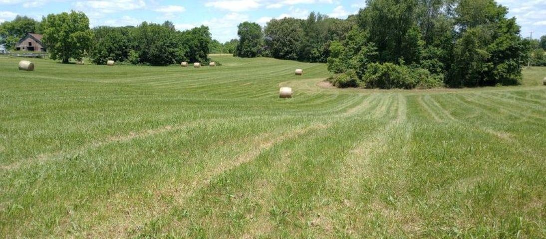 7360 Morgantown Road Franklin, KY 42134 - Photo 1 of 11 Gallery Image 1